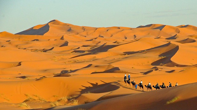 Sahara Desert near sunset: Explored on Aug 22, 2023