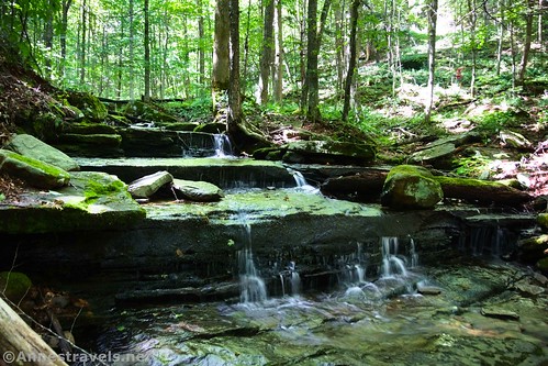 Little waterfalls on Cold Run, Worlds End State Park, Pennsylvania