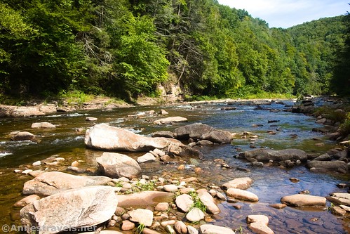 Loyalsock Creek, Worlds End State Park, Pennsylvania