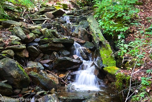 The little seasonal waterfall along the Canyon Vista Trail, Worlds End State Park, Pennsylvania 