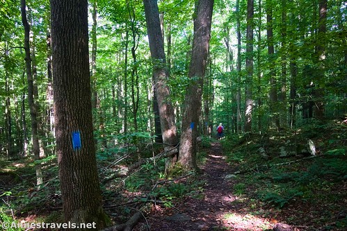 Hiking down the Canyon Vista Trail, Worlds End State Park, Pennsylvania