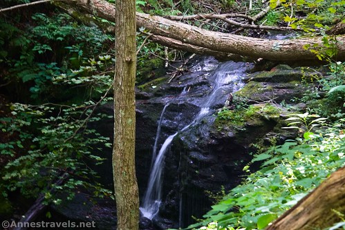Tecumseh Falls (or the stream nearby!) in Cold Run, Worlds End State Park, Pennsylvania