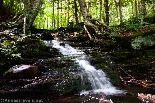 An unnamed waterfall on Cold Run, Worlds End State Park, Pennsylvania
