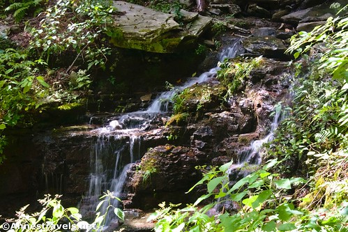 A small waterfall on a side-stream above Cold Run, Worlds End State Park, Pennsylvania