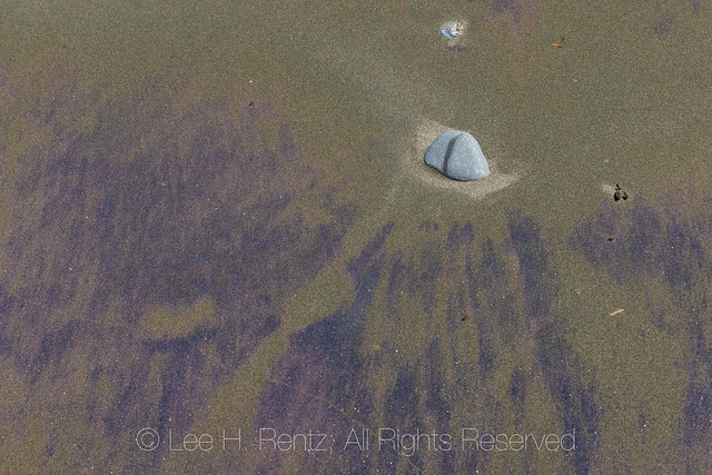 Purple Sand Concentrated by Waves on Shi Shi Beach