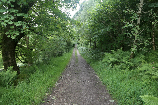 Cycle path near Kilmartin
