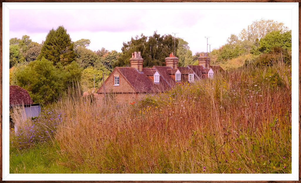 Losse Village Cottages Kent