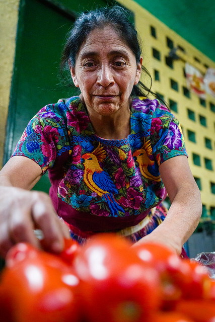 Stacking Tomatos in the Mercado Central, Antigua, Guatemala
