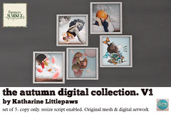 the autumn digital collection
