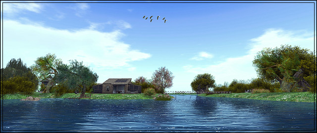 2023-08-24 Migration Over Tranquil Waters