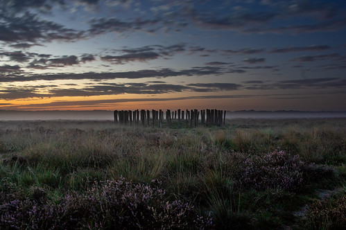 20230822-IMGP4731 by Karsten Wentink, Bronze Age burial mounds at the Regte Heide at Goirle, the Netherlands during sunrise with groundfog