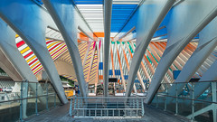 Gare de Liège-Guillemins, Santiago Calatrava - August 2023