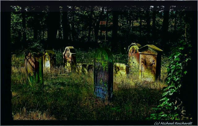 The jewish cemetary in the morning ligth /Der jüdische Friedhof im Morgenlicht (Mehlingen Pfalz/Palatinate)