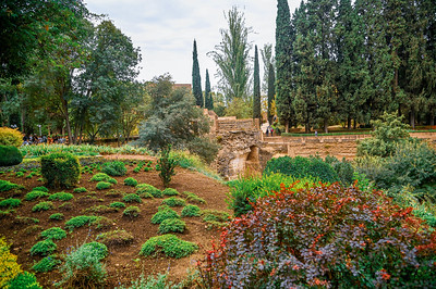 Generalife approach and gardens