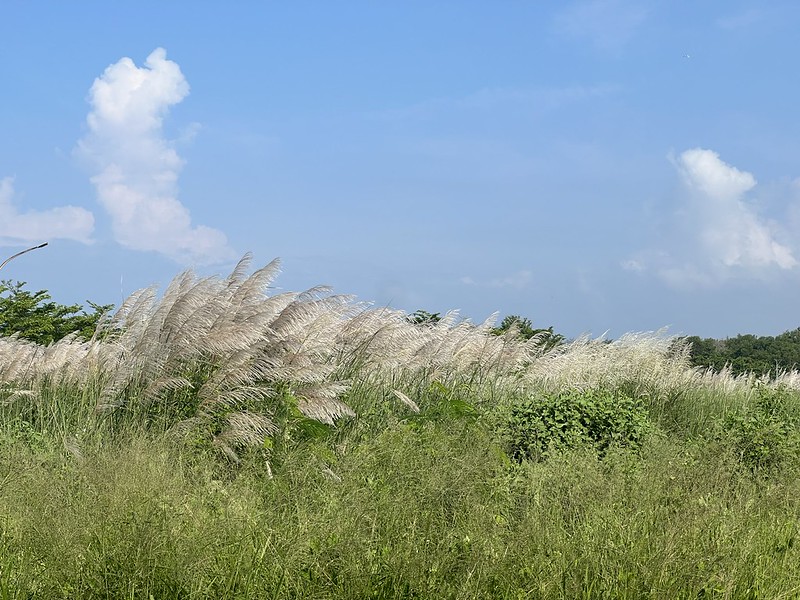 無標題