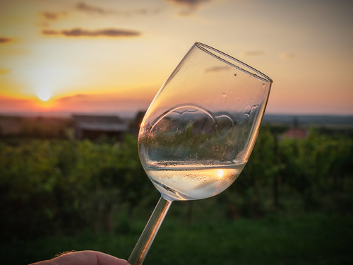 Weinglas, a glas of wine in the vineyard by fritz polesny, weinviertel wein glas fuji xt5 sunset sonneuntergang
