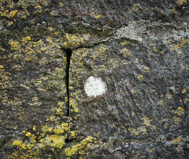 Lichen wall near Furnas