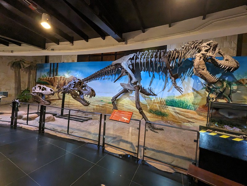 Sirindhorn Dinosaur Musuem - พิพิธภัณฑ์สิรินธร 31