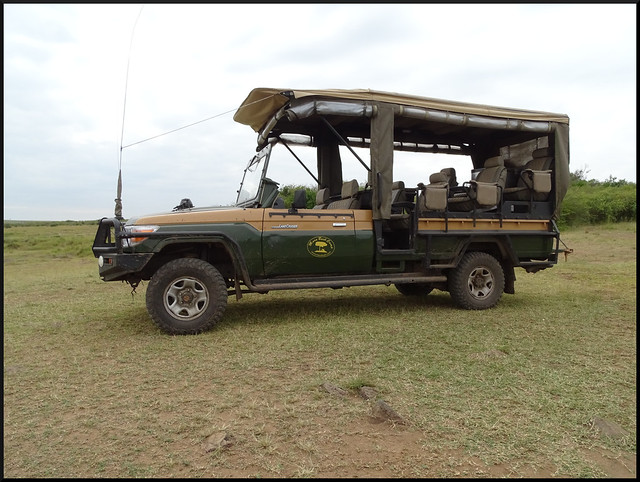 Safari por Kenia en fotos - Blogs de Kenia - La gran reserva de Masai Mara (19)