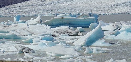 Glaciares del sur: Svinafellsjokull y Fjallsjökull. Jökusárlón y Diamond Beach. - Vuelta a Islandia con Landmmanalaugar en 9 días. (33)
