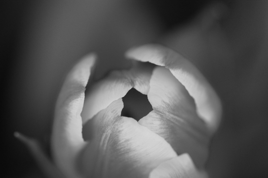 empty spaces | 