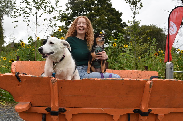Melissa, Susie and Dorry posing in a cart -Sunflower cottage 270823