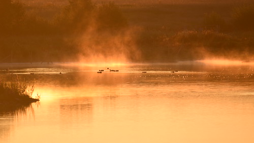 Misty Sunrise at Lea Farm Lake - Monday 28th August 2023 at 06:31:33 by rq uk, In Explore August 29th 2023 #444dintonpastures leafarmlake misty nikond750 ronshide sunrise tamronsp