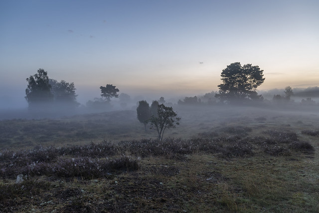 Morgendämmerung in der Heide | Dawn in the heathland