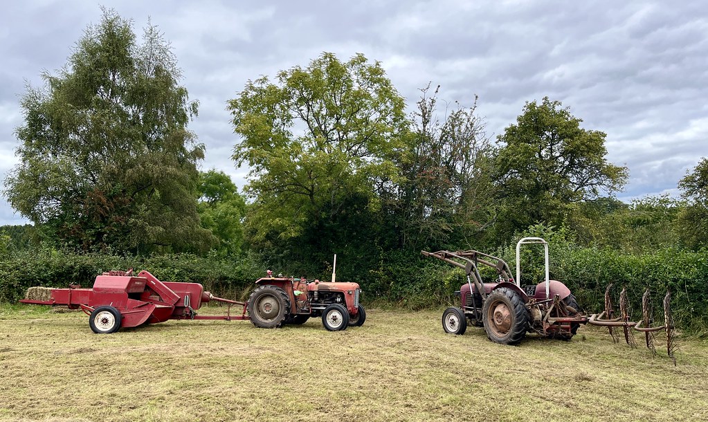 A photo in a field of short grass with two red tractors, decades old. Both are stationary. One is towing an old red hay baler, and the other has a contraption with big spiked wheel things for spreading the hay around.