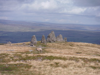 Nine Standards and northeasterly views SWC Walk 416 - Nine Standards (Kirkby Stephen Circular or to Garsdale)