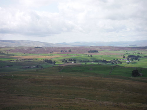 "...the heathery Rasett and Wether Hills ...", from descent down Nateby Common SWC Walk 416 - Nine Standards (Kirkby Stephen Circular or to Garsdale)