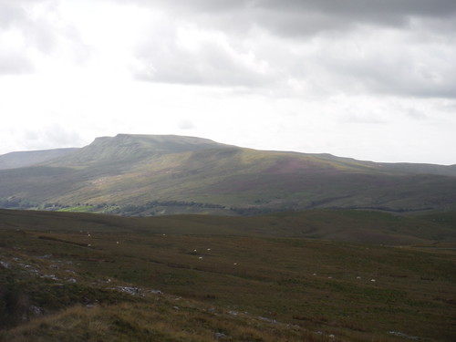 Wild Boar Fell, from descent down Nateby Common SWC Walk 416 - Nine Standards (Kirkby Stephen Circular or to Garsdale)