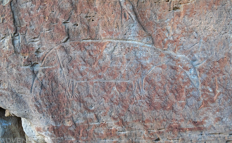 White Mountain Petroglyphs