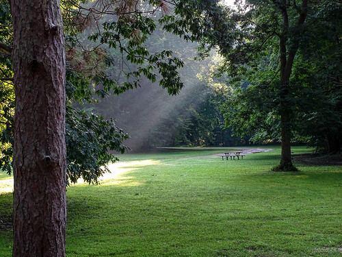 publicparks richfieldcountypark geneseecountyparks scenicmichigan sunriselight landscapes thisismyshot culture