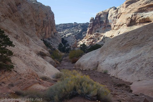 The place where I turned around in Wildhorse Canyon, Utah