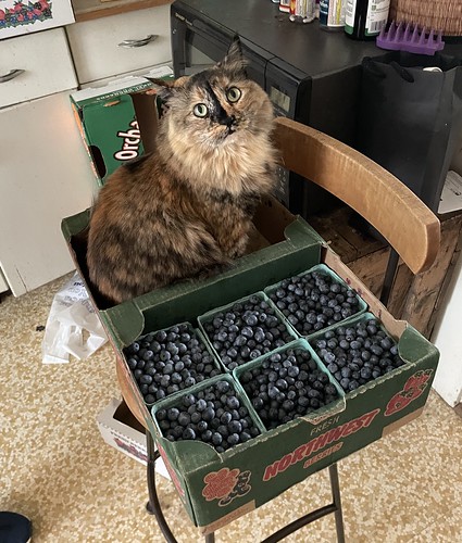 A multipurpose berry box