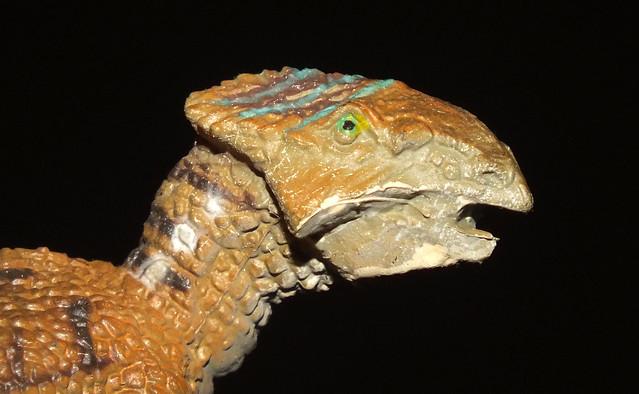 Liaoning horned face (†Liaoceratops yanzigouensis) head PNSO replica