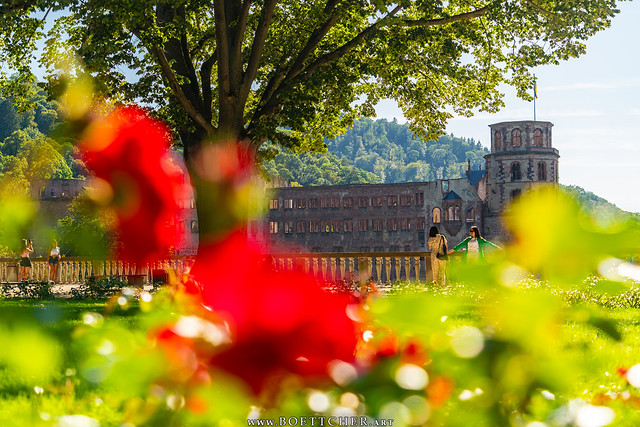 Summer at Heidelberg Castle in August 2023 VII