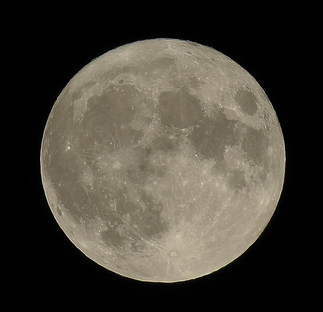 Full Moon August 30, 2023 Waxing Gibbous Illumination: 99% IMG_7193