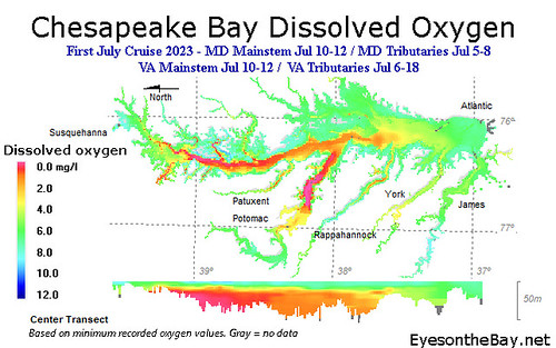 Map of Chesapeake Bay Dissolved Oxygen measured early July 2023