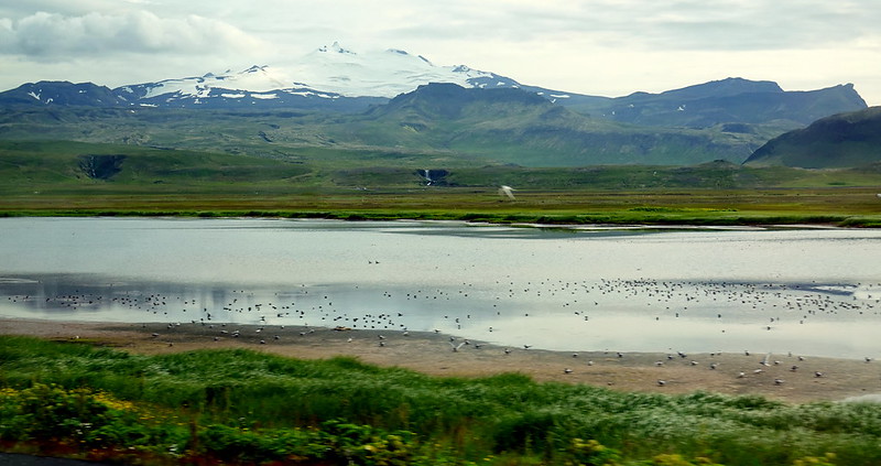 Rodeando la península de Snaefellness. Snæfellsjökull. Arnastapi. Borgarness. - Vuelta a Islandia con Landmmanalaugar en 9 días. (6)