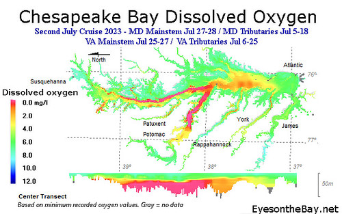 Map of Chesapeake Bay Dissolved Oxygen measured late July 2023