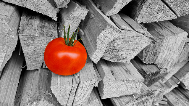 - tomato in hiding -