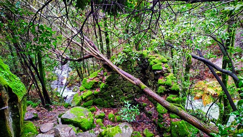 Trilho da Pedra da Ferida by vmribeiro.net, O Trilho da Pedra da Ferida é um percurso pedestre que leva até à bela Cascata da Pedra da Ferida, n
