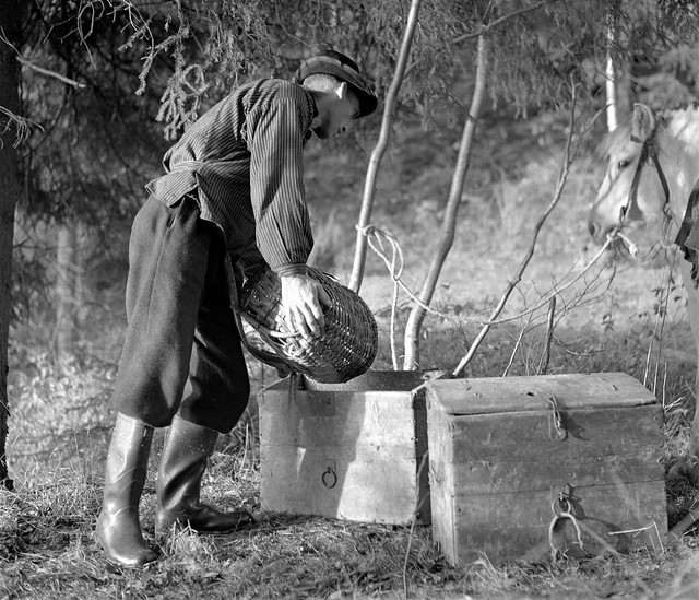 En lågåsildfisker / A fisherman. 1963.