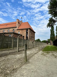 Polonia en 6 días: Cracovia y Wroclaw - Blogs de Polonia - Día 3: 21 de agosto / Auschwitz + Birkenau (4)