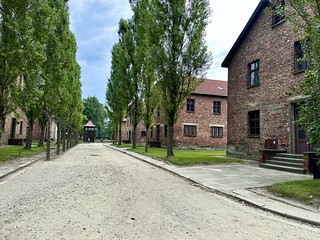 Polonia en 6 días: Cracovia y Wroclaw - Blogs de Polonia - Día 3: 21 de agosto / Auschwitz + Birkenau (1)