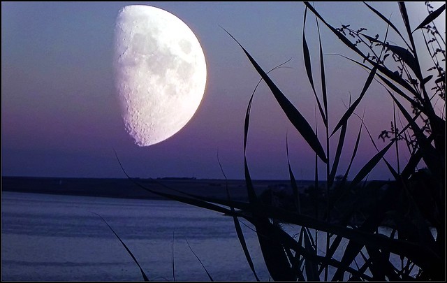 Amikor a hold... When the Moon...