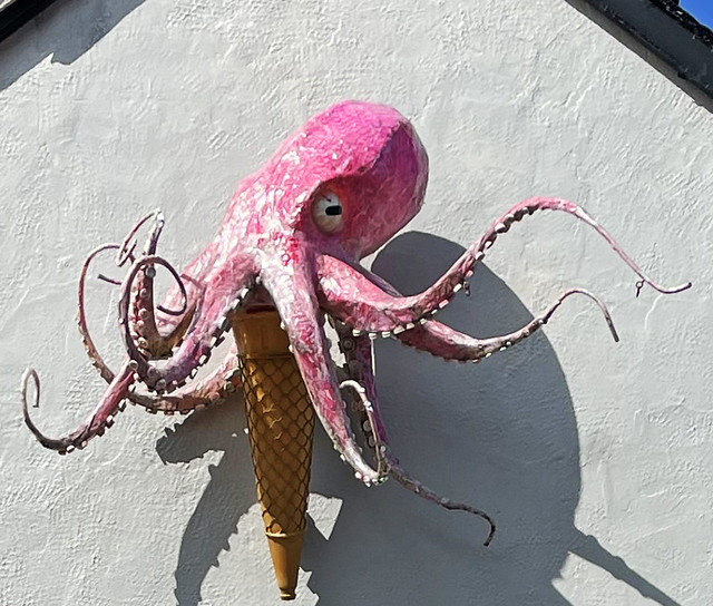 Octopus ice-cream