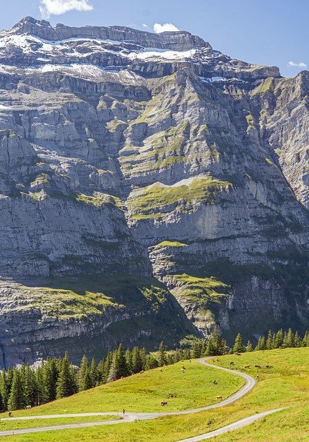 Kleine Scheidegg to Wengernalp trail